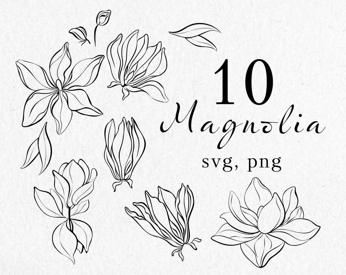 Magnolia svg with floral line clipart Magnolia logo Floral | Etsy