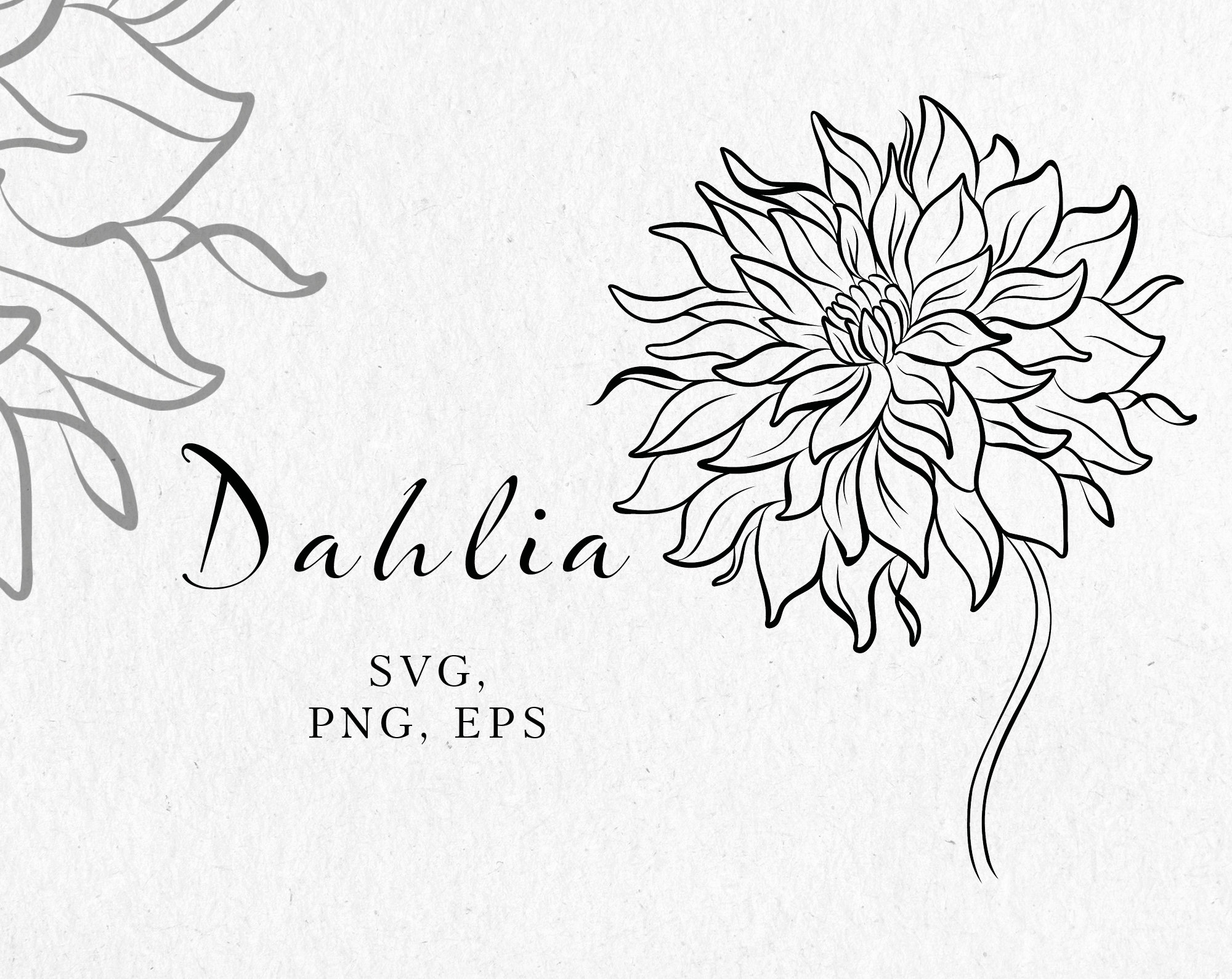 Dahlia svg Dahlia clip art floral line clipart for wedding | Etsy