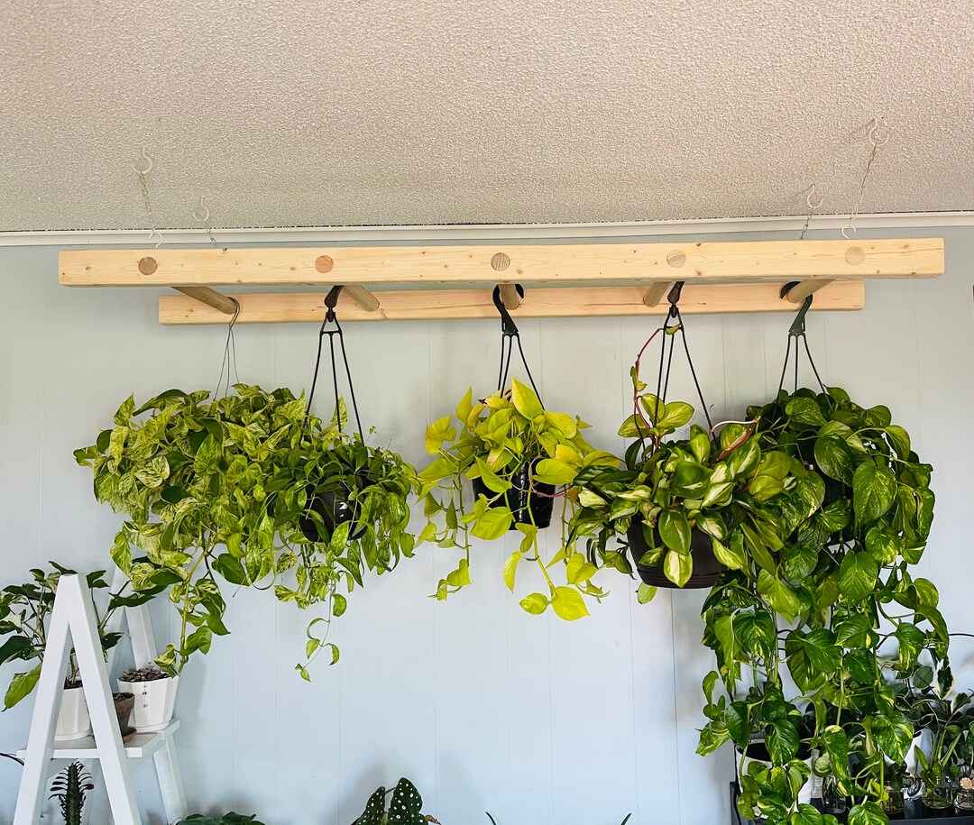 Hanging Plant Rack Plant Hanger for Hanging Plants Etsy
