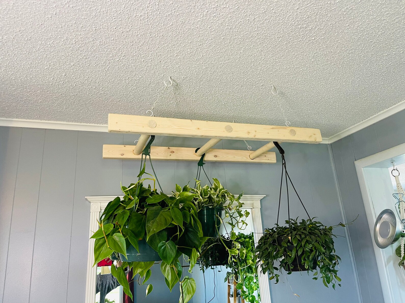 Hanging Plant Rack Plant Hanger for Hanging Plants Etsy