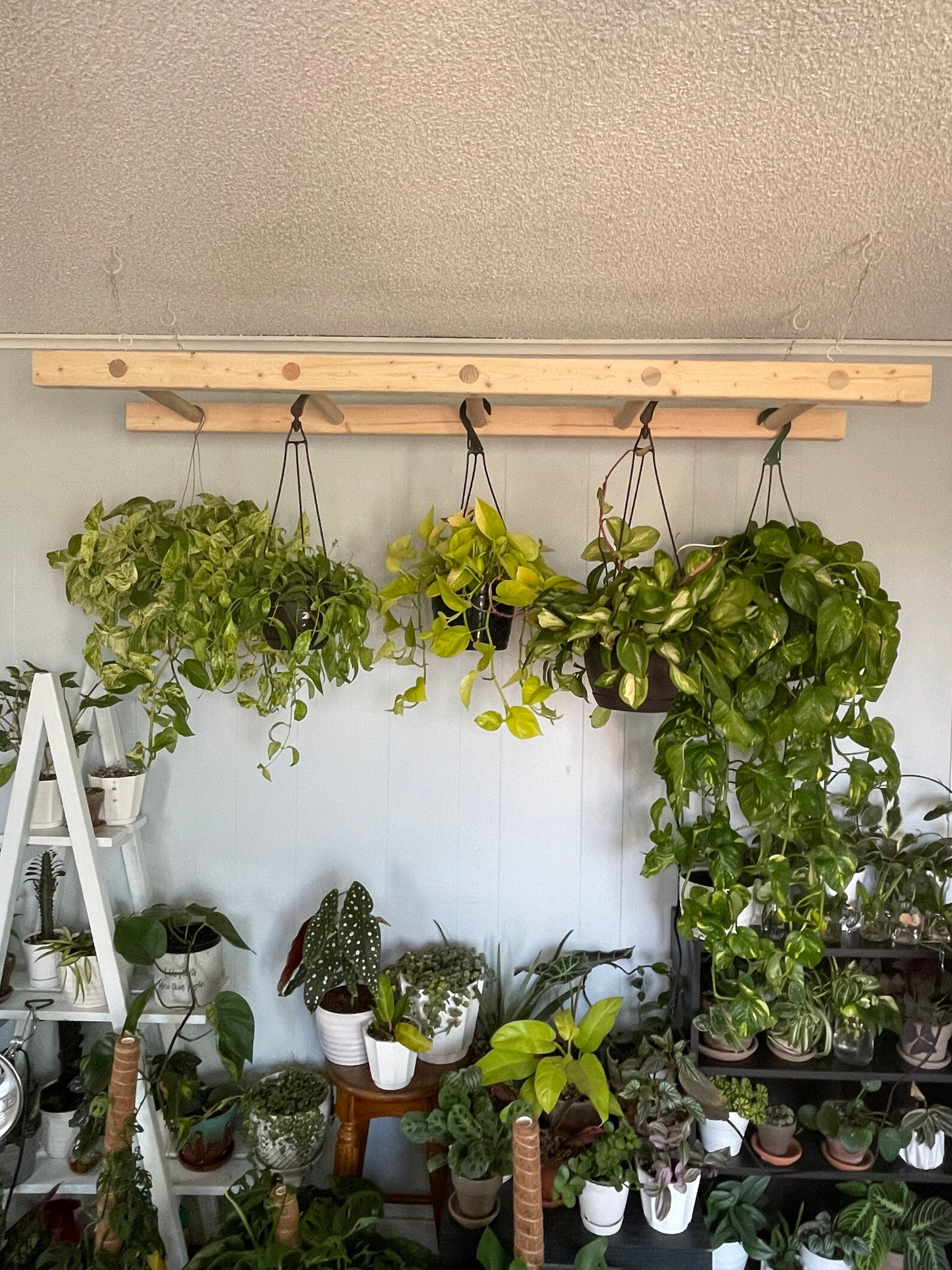 Hanging Plant Rack Plant Hanger for Hanging Plants Etsy