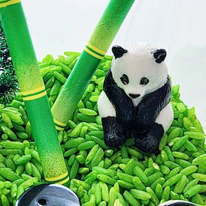 Panda Playful Sensory Kit