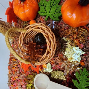 Fall/ autumn sensory bin set-Pumpkin patch