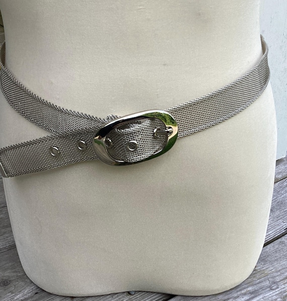 Vintage Luxury Metallic Silver Belt Tone Mesh Western Movie 