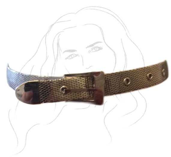Vintage Silver Mesh Belts Women display picture 1