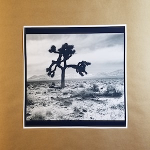 Joshua Tree 12&quot; x 12&quot; Poster Print - U2 Band Rock