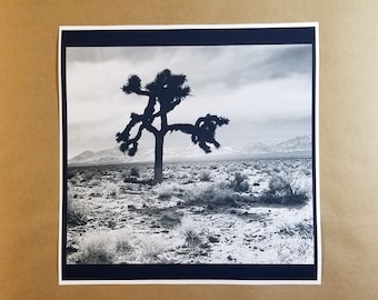 Póster de Joshua Tree de 30 x 30 cm - U2 Band Rock