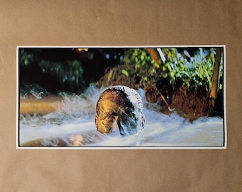Apocalypse Now  12"x 24" Movie Poster Print Captain Willard Vietnam War