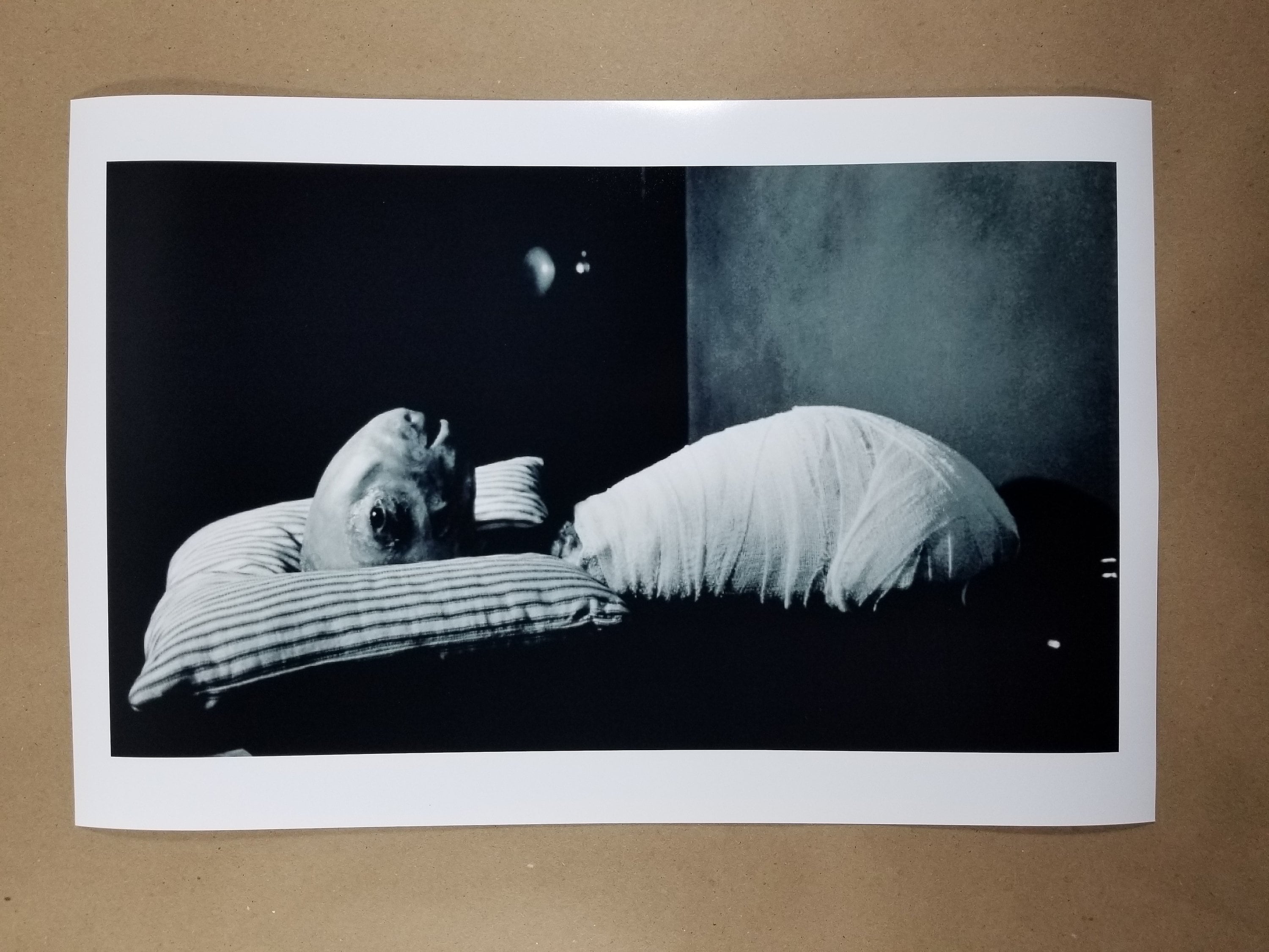 Eraserhead David Lynch Movie Poster Alien in Bed Scene Black Etsy