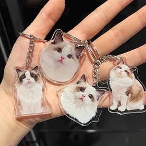 May include: Four clear acrylic cat keyrings with silver chains. Each keyring features a different image of a fluffy cat with brown and white markings. The cats have blue eyes and pink noses.