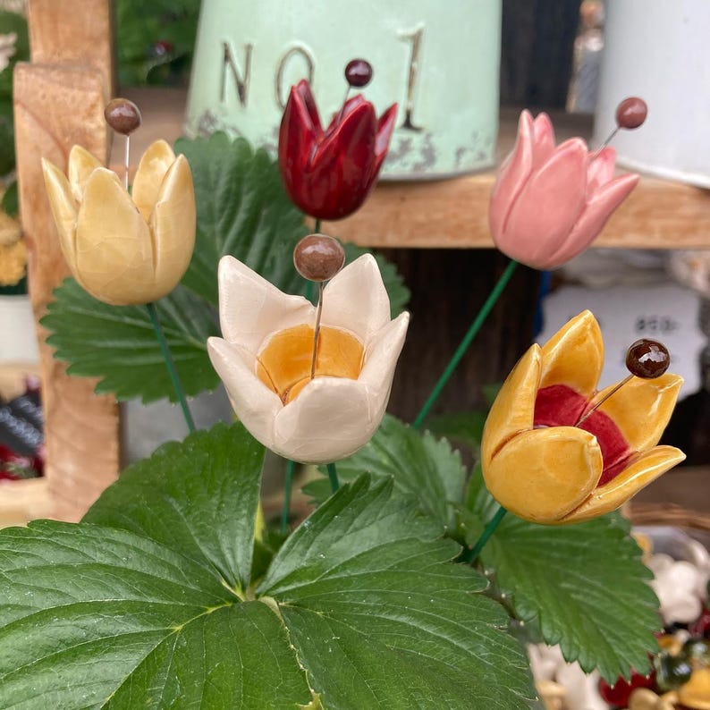 Tulip, colourfull, hand-made, lovely ceramic flowers. Avaiable in 7 colours. They are fixed on a green wire (l=25cm/9.8in), you can put them in a vase, next to your inside plant, outside the garden (they are weather resistant).
You can create your own tulip bouquet by adding green leafs or other flowers in my shop. A charming spring decoration.