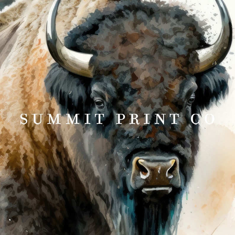 Bison Wall Art Buffalo Wall Art Buffalo Print Printable Wall Art Plain