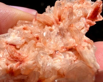 Spécimen de stilbite rouge/orange avec minéraux d'heulandite ! Belle couleur ! Inde Zéolite | Cadeau pour chaque achat !