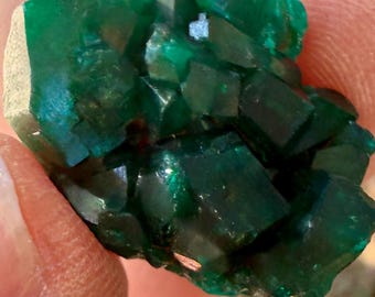 Echantillon de dioptase | Minéral du Congo, cristal de guérison | Vert intense