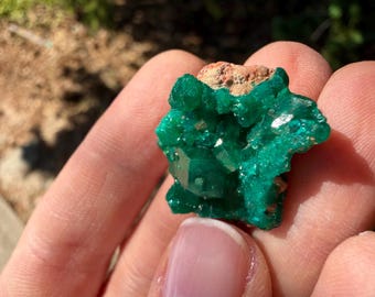 Echantillon de dioptase | Minéral du Congo, cristal de guérison | Vert intense
