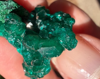 Spécimen de dioptase | Congo Mineral, Lithothérapie | Vert intense