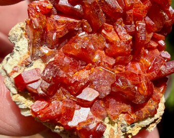 9 grammes de vanadinite scintillante ! Petite vanadinite ultra-brillante ! Cadeau offert pour tout achat !