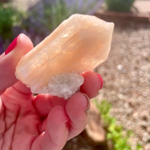 May include: A peach-colored crystal cluster with a rough, textured surface. The crystal is held in a hand with red nail polish. The crystal sits on a white, textured base. The background is blurred with green and purple plants.