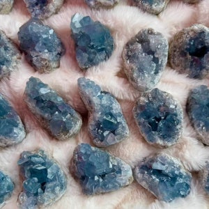 May include: A collection of blue celestite crystal clusters, each with a unique shape and formation. The crystals are arranged on a soft, white, fuzzy surface.