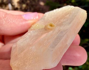 Spécimen de grand stilbite pêche avec apophyllite scintillante ! Cadeau pour chaque achat !
