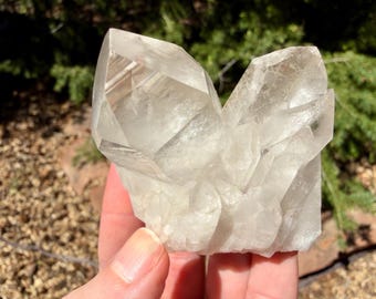 Grappe debout de quartz clair de 4,5 oz | Amas de cristaux de maître guérisseur | Abondance | Cadeau pour chaque achat ! |
