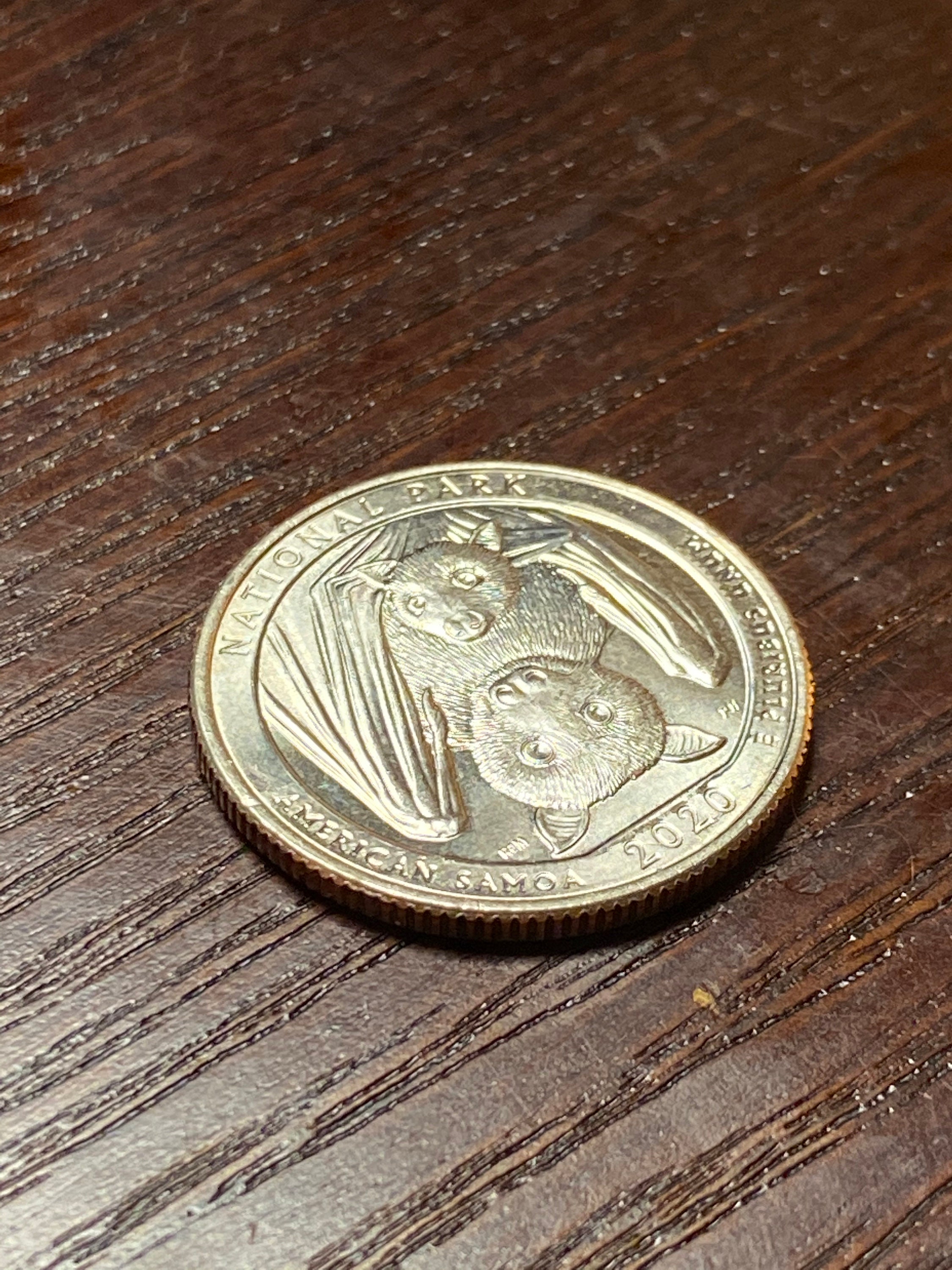 Rare 2020 American Samoa Bat Coin Etsy