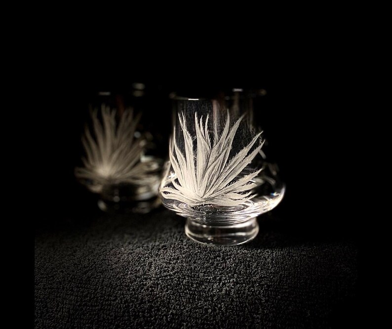 Agave Tequila Glasses Personalized Etsy