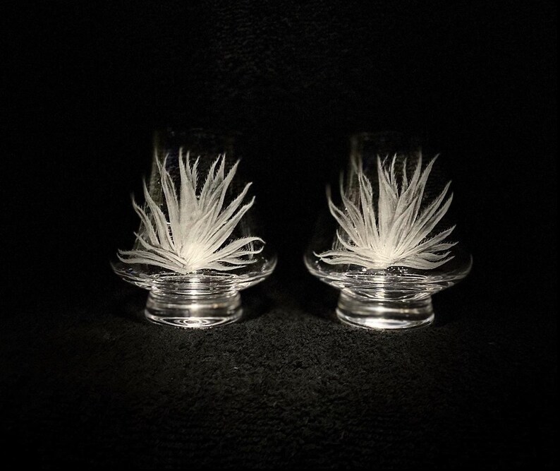 Agave Tequila Glasses Personalized Etsy