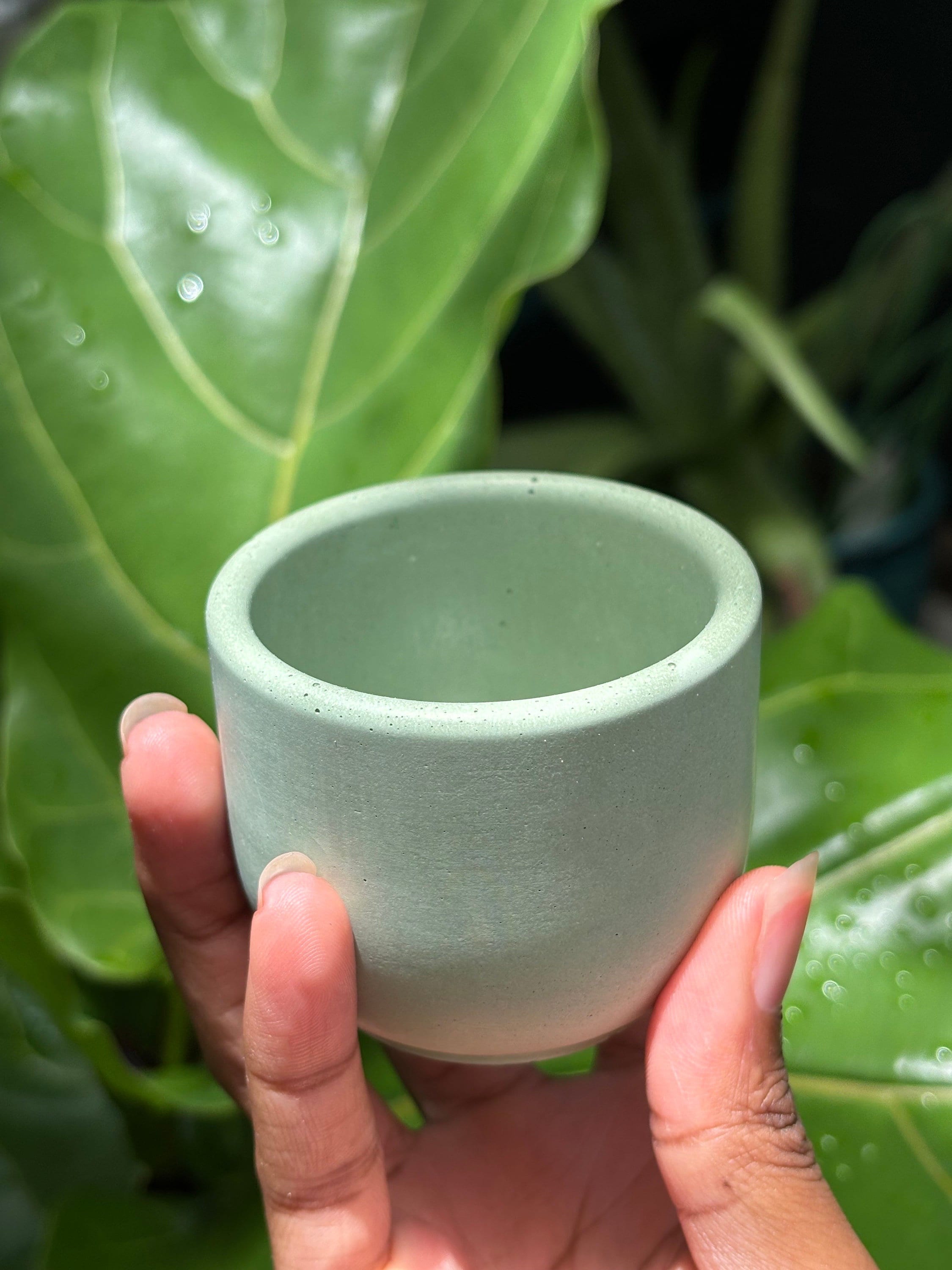 2 inch Concrete Tulip Shaped Planter - Pot, Succulent Pot, Small Planter, Planter