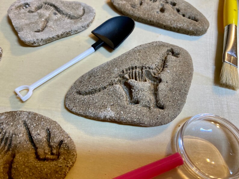 Dinosaur Fossil Kit Fossil Excavation Kit Paleontology Etsy