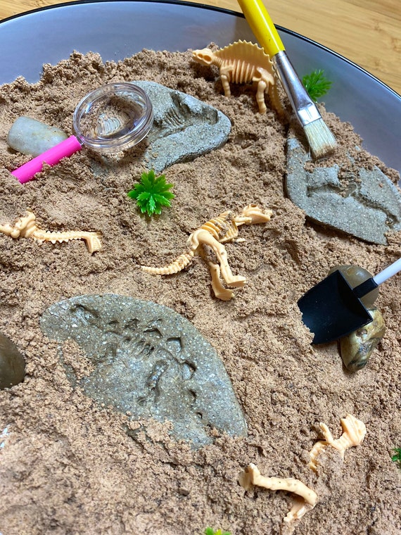 Dino Dig Excavation Kit