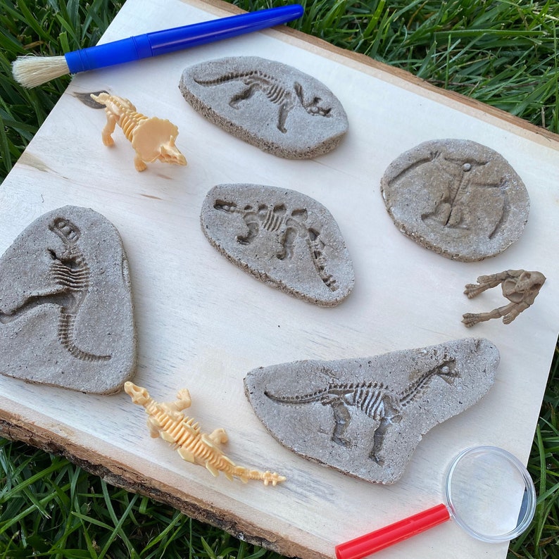 Dinosaur Fossil Kit Fossil Excavation Kit Paleontology Etsy