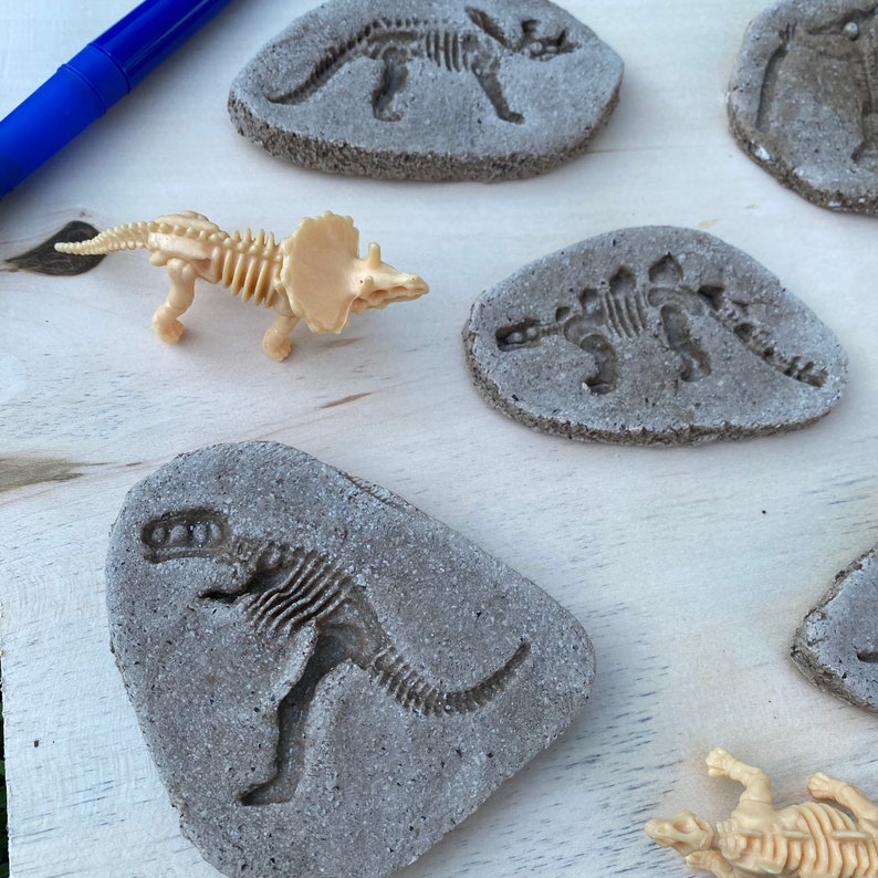 Dinosaur Fossil Kit Fossil Excavation Kit Paleontology Etsy