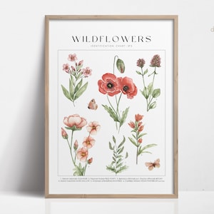 Wildflowers Wall Art Plantidentificatie, aquarel botanische prints, natuurposter met plantennamen, Cottagecore decor preppy esthetisch