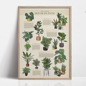 Póster de plantas, Póster de plantas de interior, Impresión de plantas, Arte de pared de plantas, Guía de cuidado de plantas en macetas, Regalo para amantes de las plantas, Regalos de plantas - Impresiones digitales