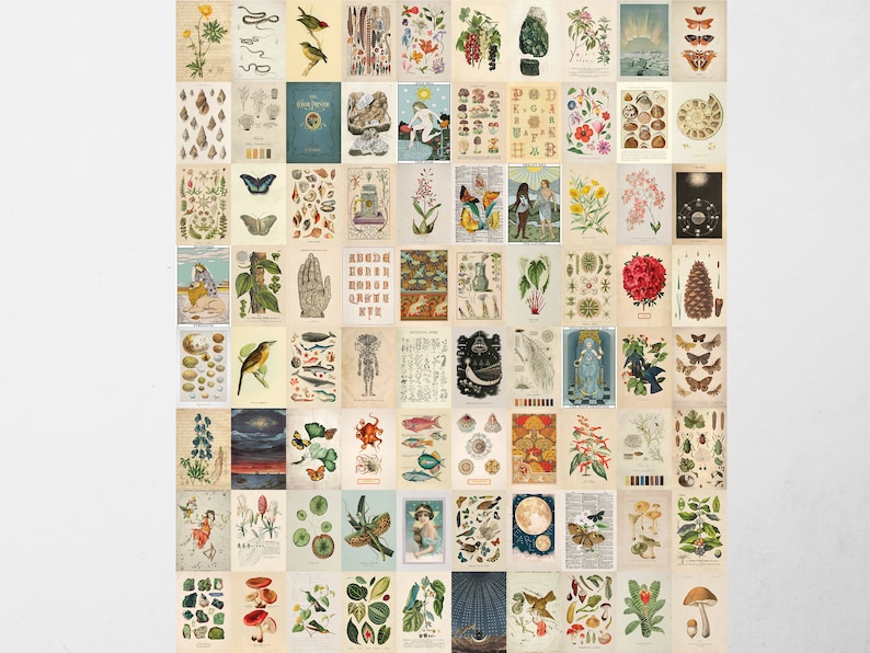 Aesthetic Wall Collage Kit Botanical Prints Vintage Collage Etsy aesthetic-wall-collage-kit-botanical-prints-vintage-collage-etsy
