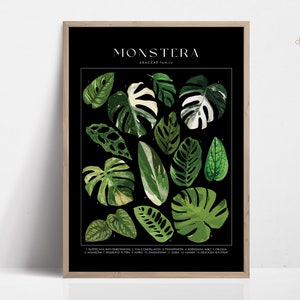 MONSTERA Plant Poster, Huisplant Identificatie, Plant Lover Gift, Botanische Muurkunst, Plant Decor Bloemenfoto DIGITAAL