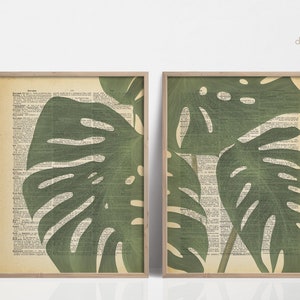 Dictionary Prints Plant Themed, Dictionary Page Art, Dictionary Art Print, Encyclopedia Page Art, Dictionary Wall Art, Dictionary Artwork