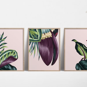 Calathea Plant 3 Piece Wall Art, Palm Leaves, Plant Poster, Plant Lover Gift, Prayer Plant Prints, Plant Wall Art - Digital Image