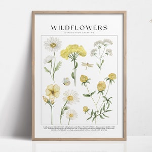 Wildblumen Wand Kunst Pflanzenidentifikation, Aquarell Botanische Drucke, Natur Poster mit Pflanzennamen, Cottagecore Dekor Preppy Ästhetik