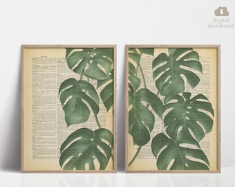 Dictionary Prints Plant Themed, Dictionary Page Art, Dictionary Art Print, Encyclopedia Page Art, Dictionary Wall Art, Dictionary Artwork