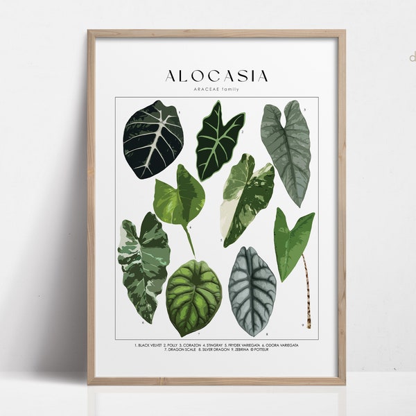 ALOCASIA Digital Print, Art Prints Digital Download, Plant Lover Gift For Her, Plant Poster, Botanical Wall Art Downloadable Art Prints