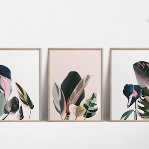 Philodendron Tropisches Blatt 3 Stück Wandkunst Pflanzen Poster, Blush Pink Wandkunst, Laub Drucke, Botanische Wandkunst, Rosa Drucke Digital