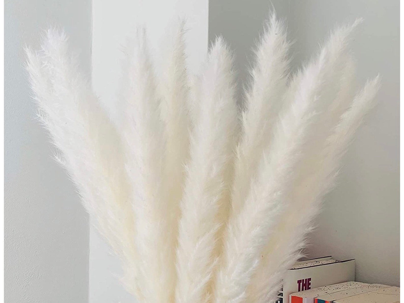 White Dried Pampas Grass 45cm Etsy