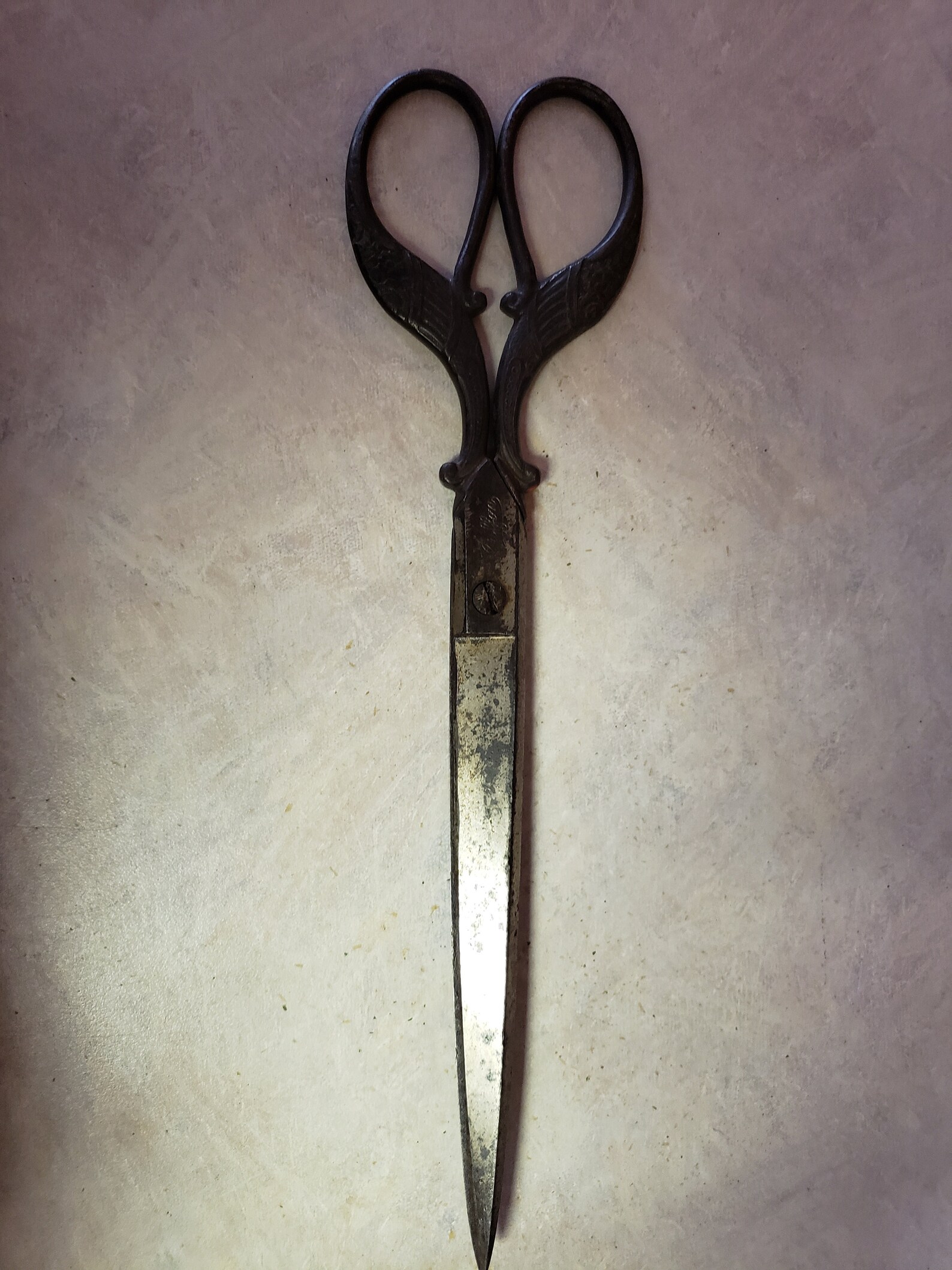 Antique Steel German Griffon Scissors Etsy
