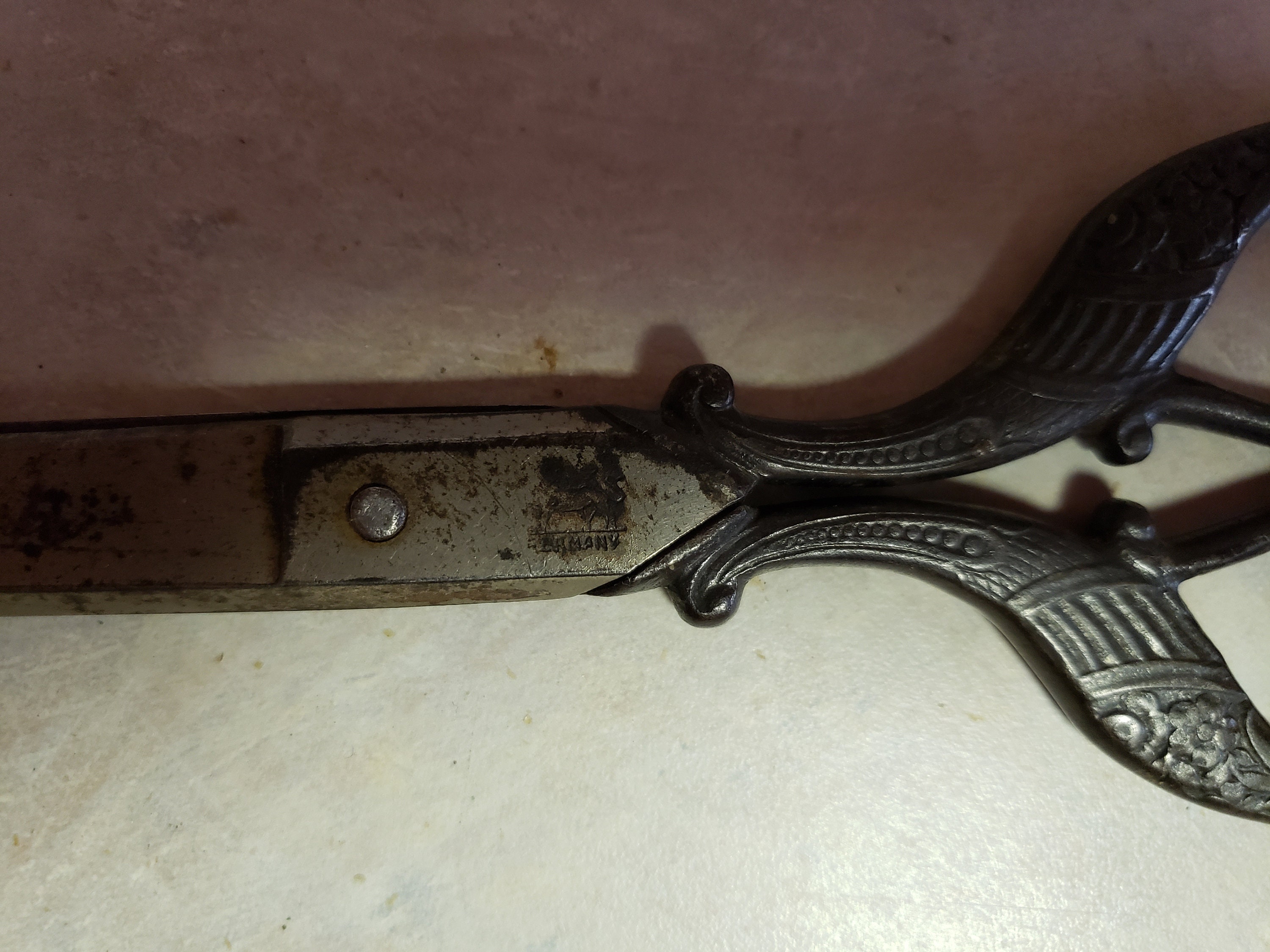 Antique Steel German Griffon Scissors Etsy