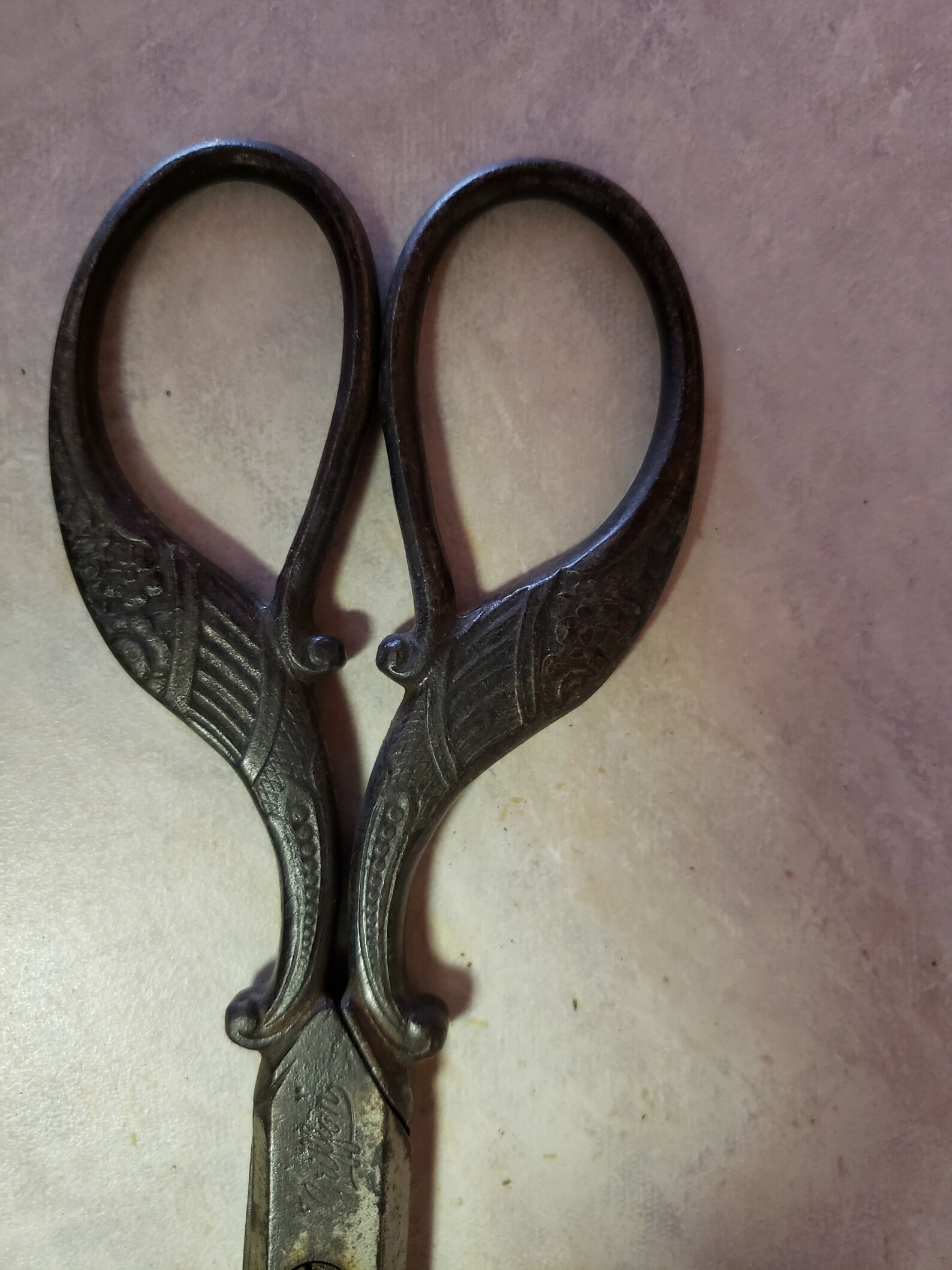 Antique Steel German Griffon Scissors Etsy