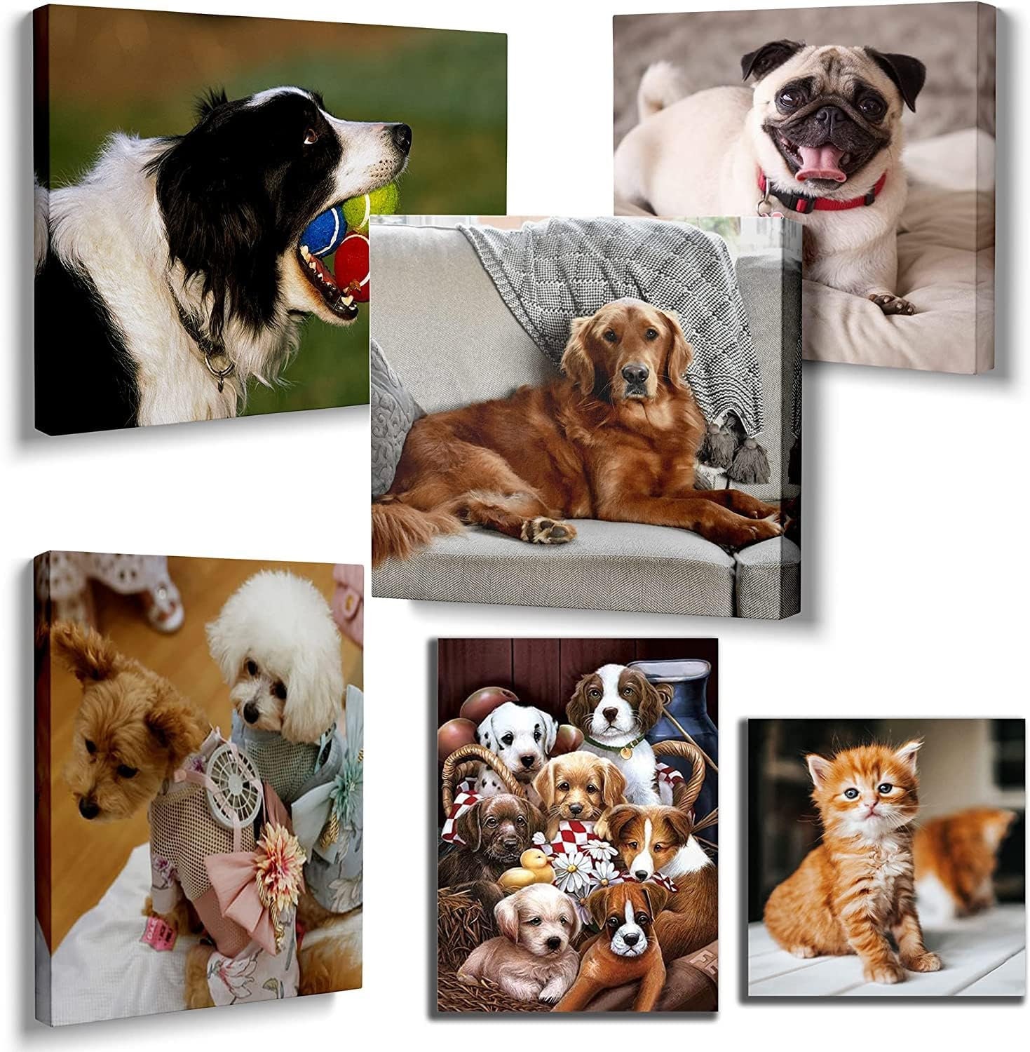 Floating Frames for Canvas Prints 1.25 Deep Photo Pictures Wall