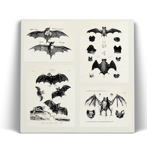 Bats Wall Décor -Bats Canvas Framed Poster, Retro Hipster Goth Art - Bat Gift for Horror, Vampire Fans - Gothic Halloween Décor  Home Decor