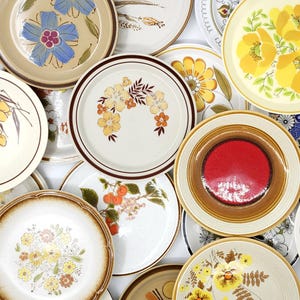 May include: A collection of round ceramic plates featuring various patterns including blue flowers, yellow blossoms, orange floral clusters, red centers with brown rims, and botanical illustrations in shades of brown, yellow, and green.
